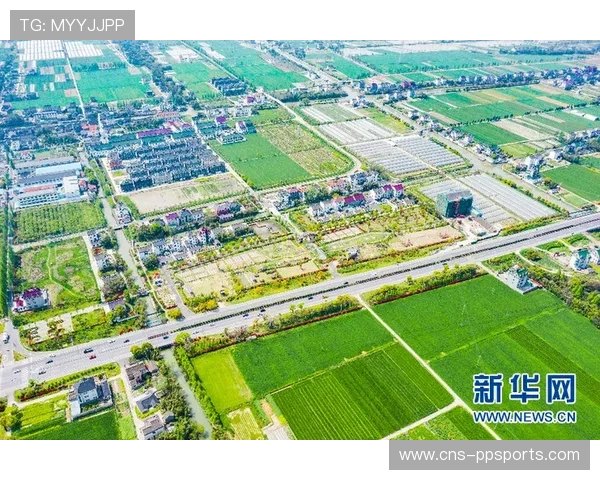 浙江徐家埭村从“养猪村”到“棒球村”的转型之路 浙江徐家埭村从“养猪村”到“棒球村”的转型之路